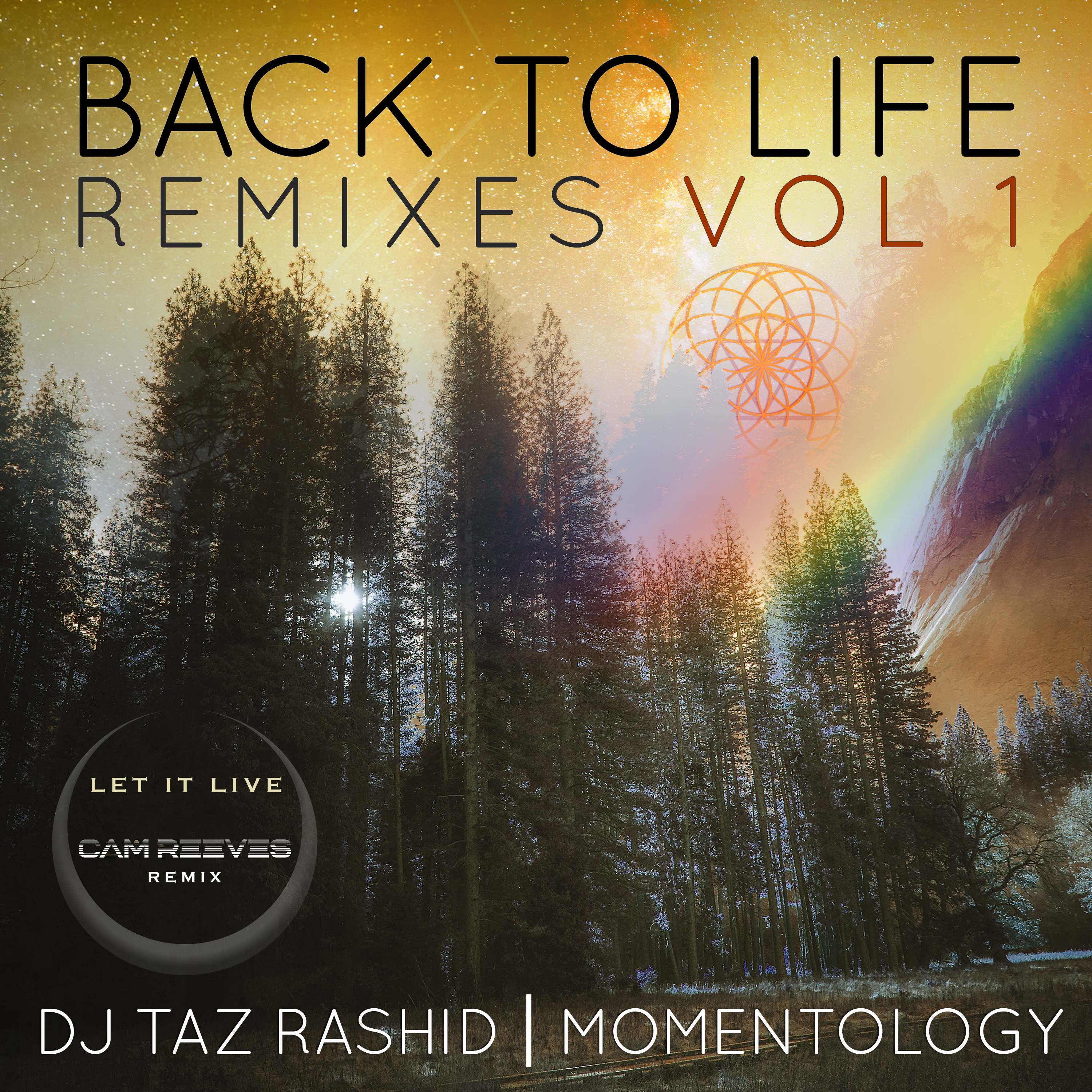 Momentology and DJ Taz Rashid - Let It Live - Cam Reeves Remix