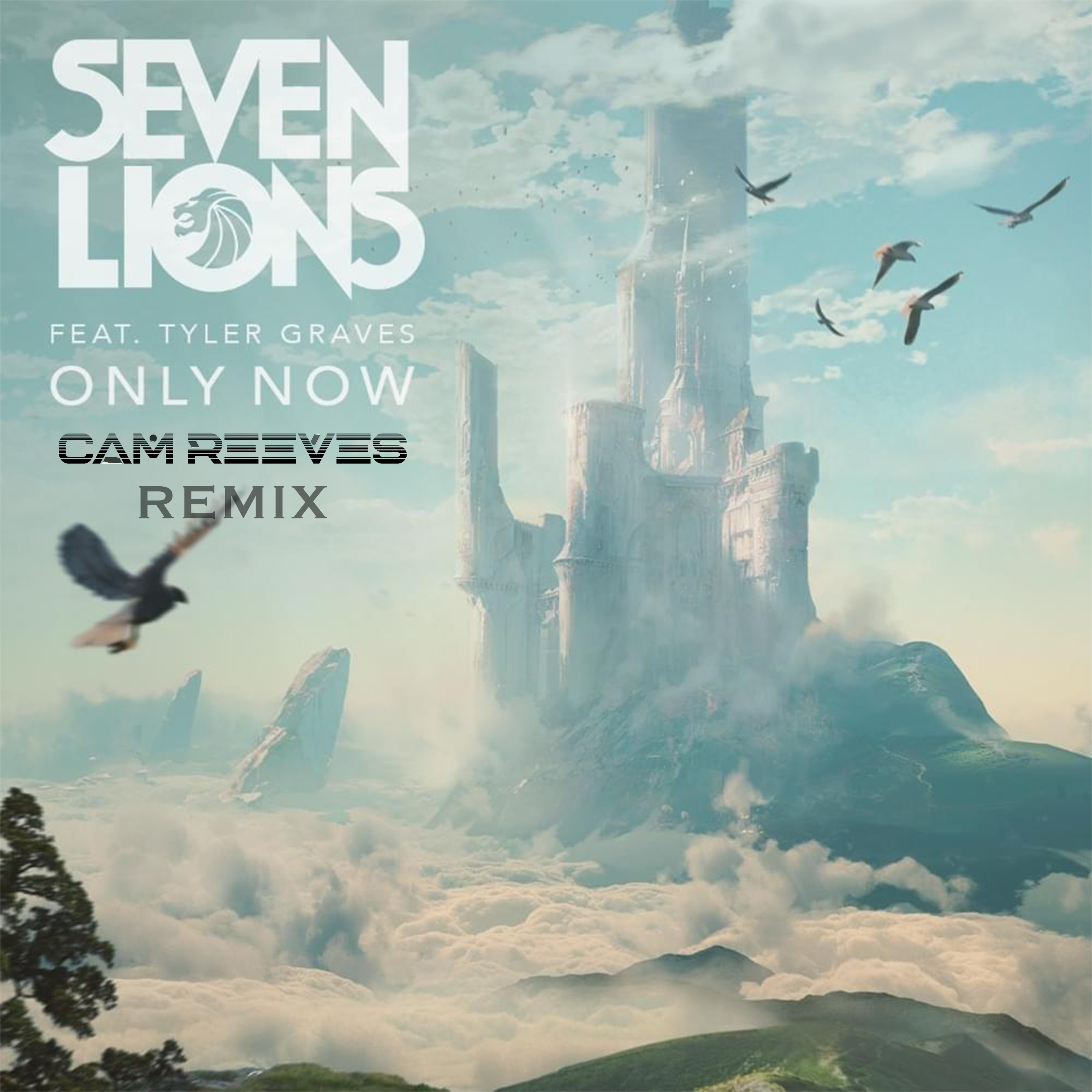 Seven Lions - Only Now - Cam Reeves Remix